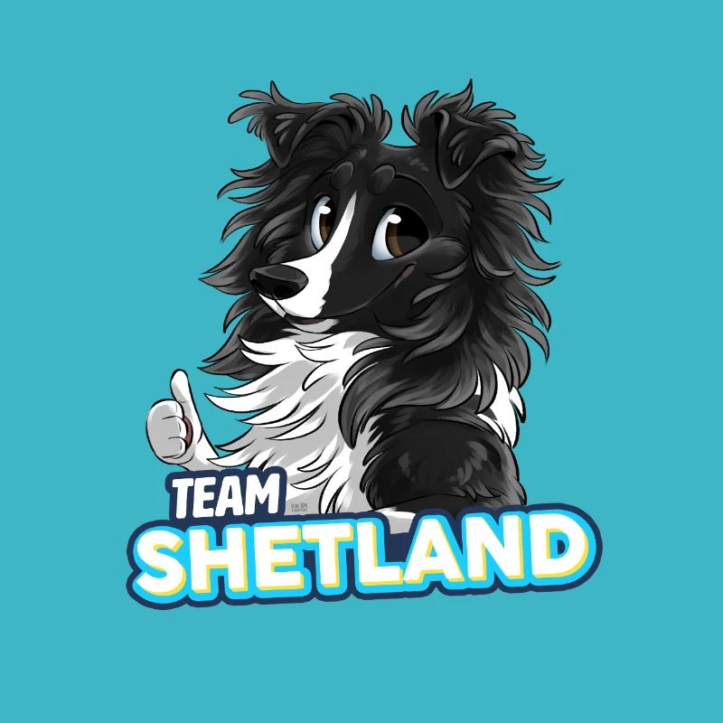 TEAM Shetland - Noir Bicolore