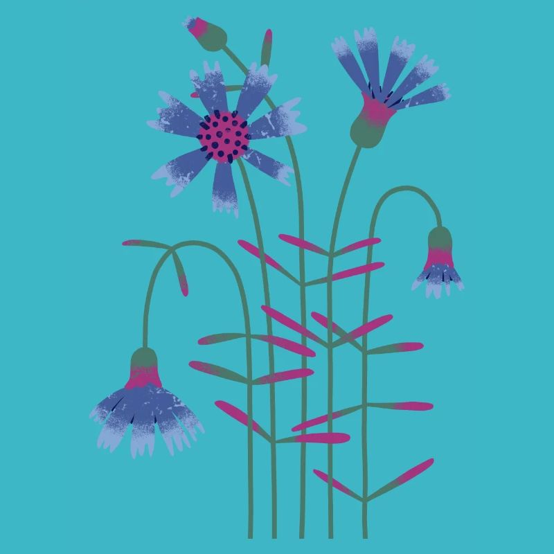 Cornflower