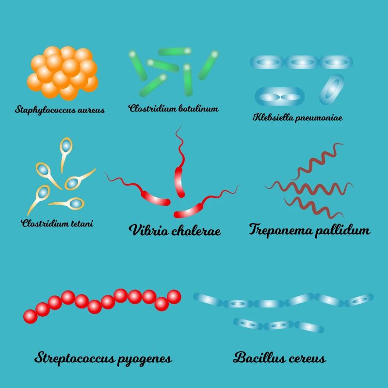 Berühmte Bakterien - Pathogene