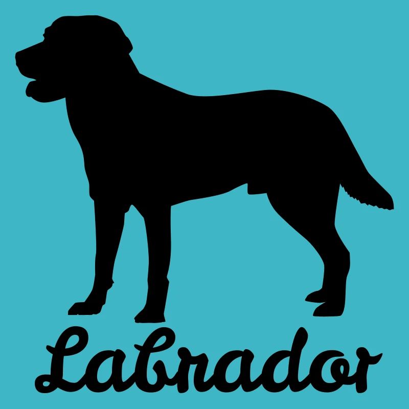 Labrador Retriever - Cadeau pour chien Labbi