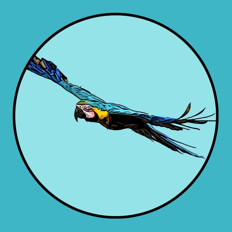 Blauer Ara Flug