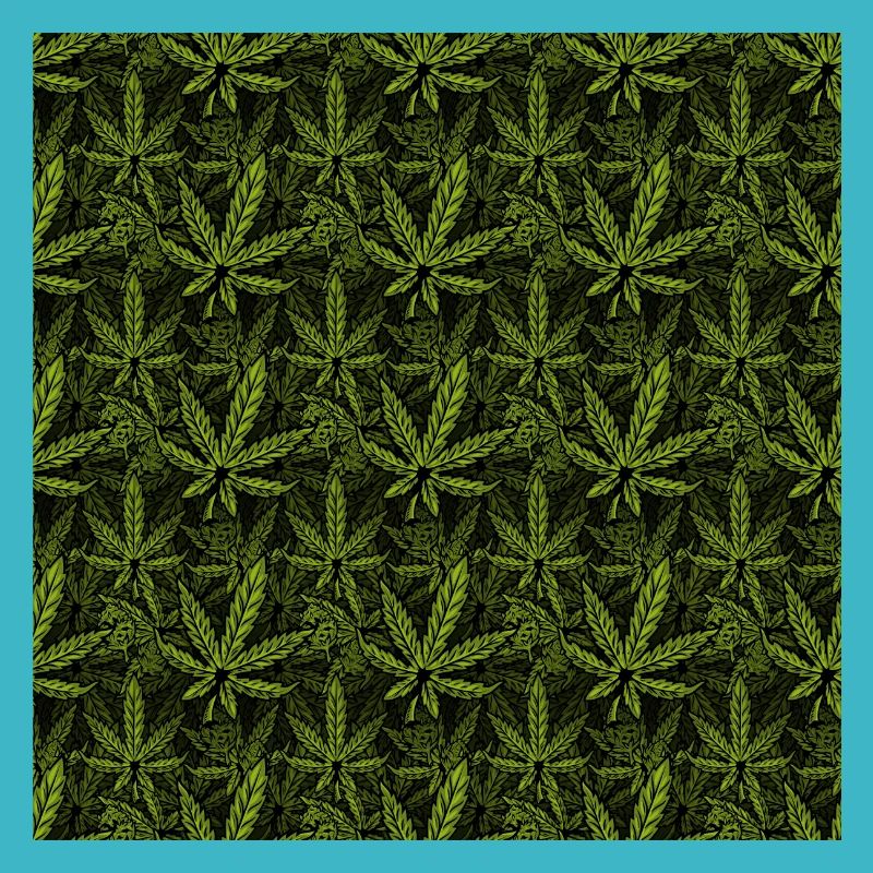 Feuilles de marijuana