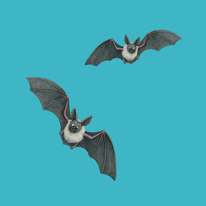 small bats