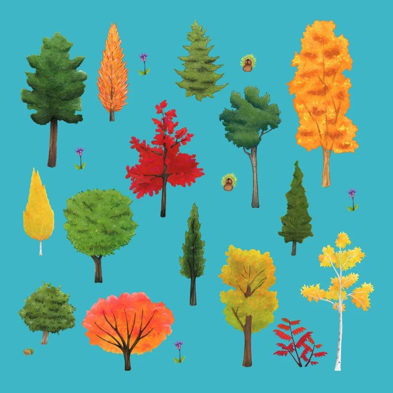 Trees