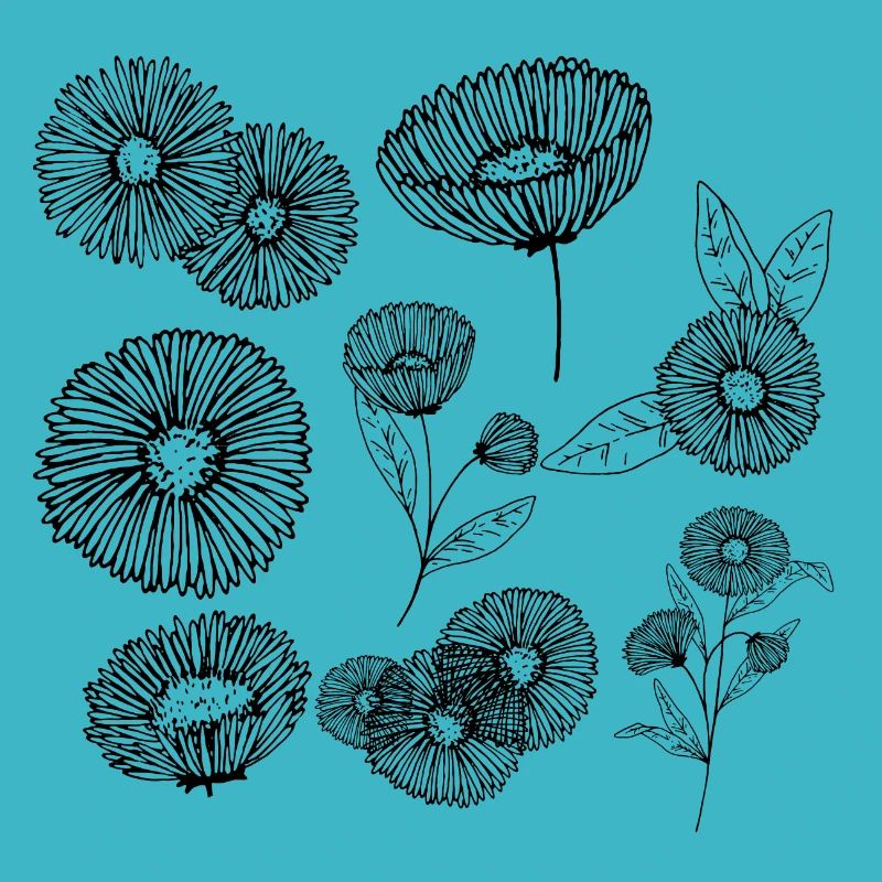 Groupe de fleurs aster