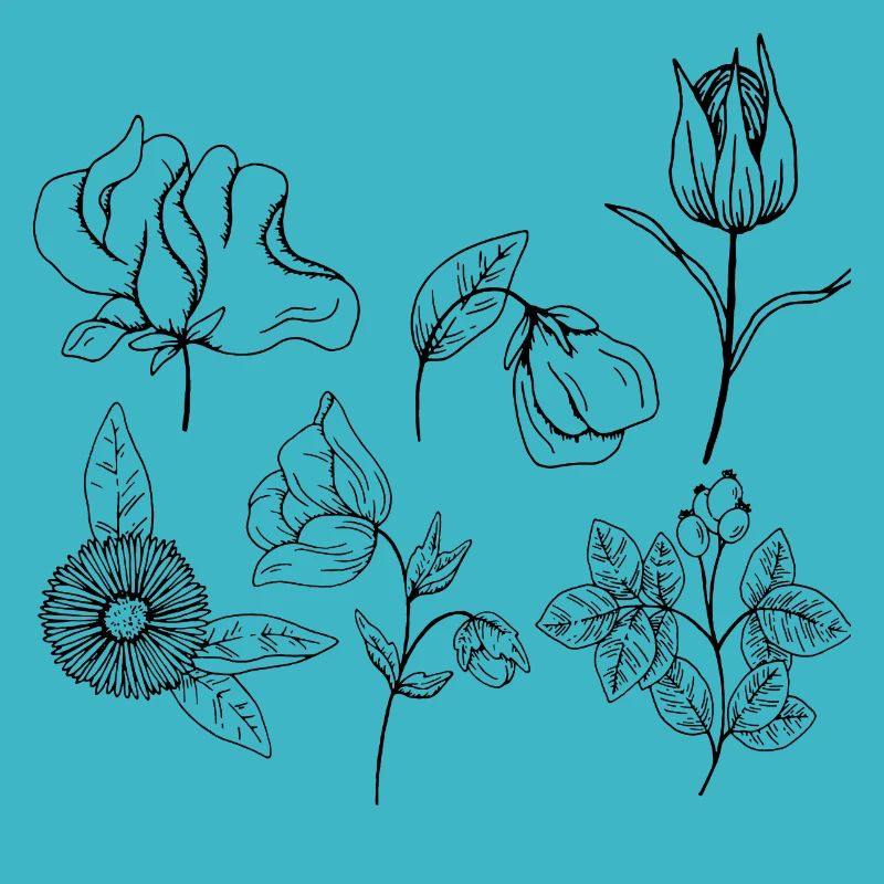 Groupe de fleurs minimalistes