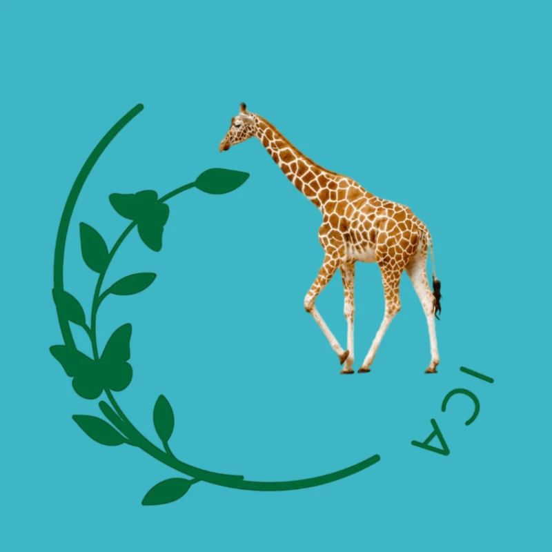 Girafe