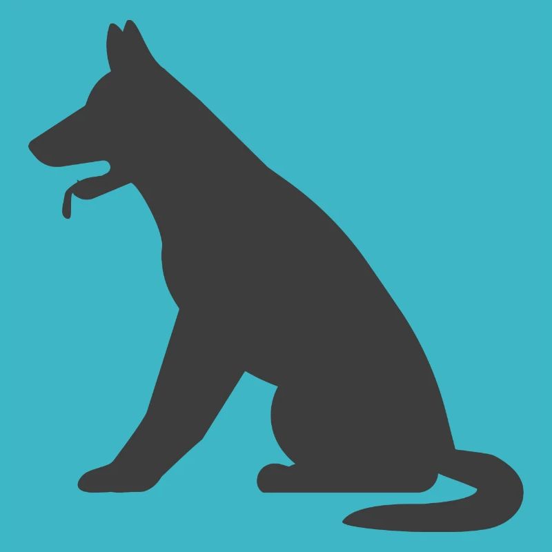 Hund