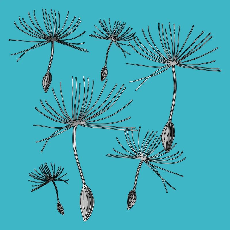 Dandelions
