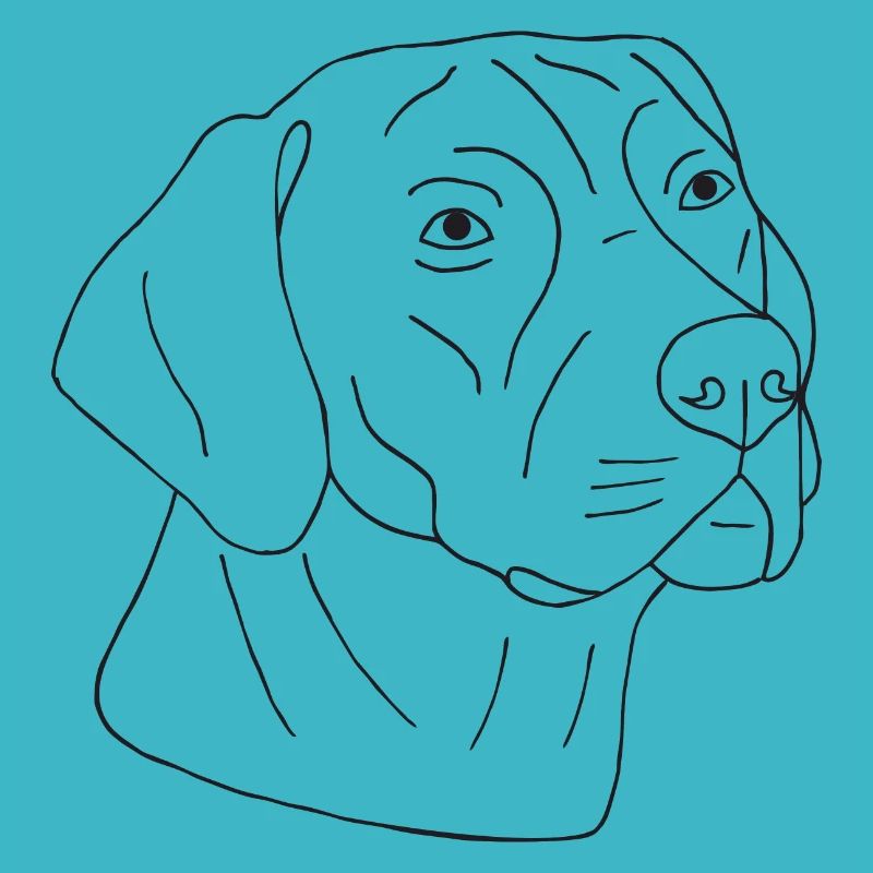 Rhodesian Ridgeback
