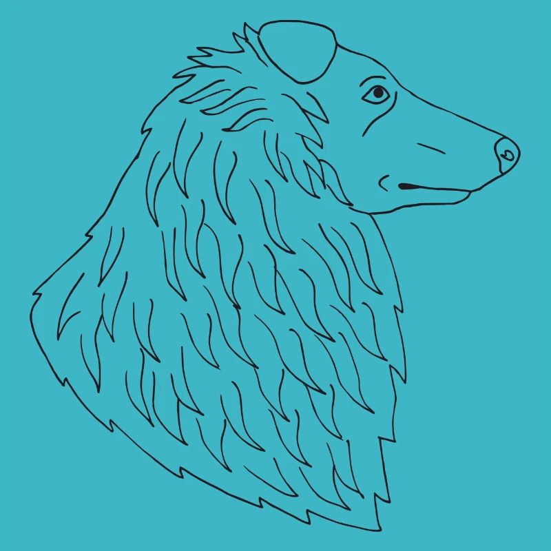Collie