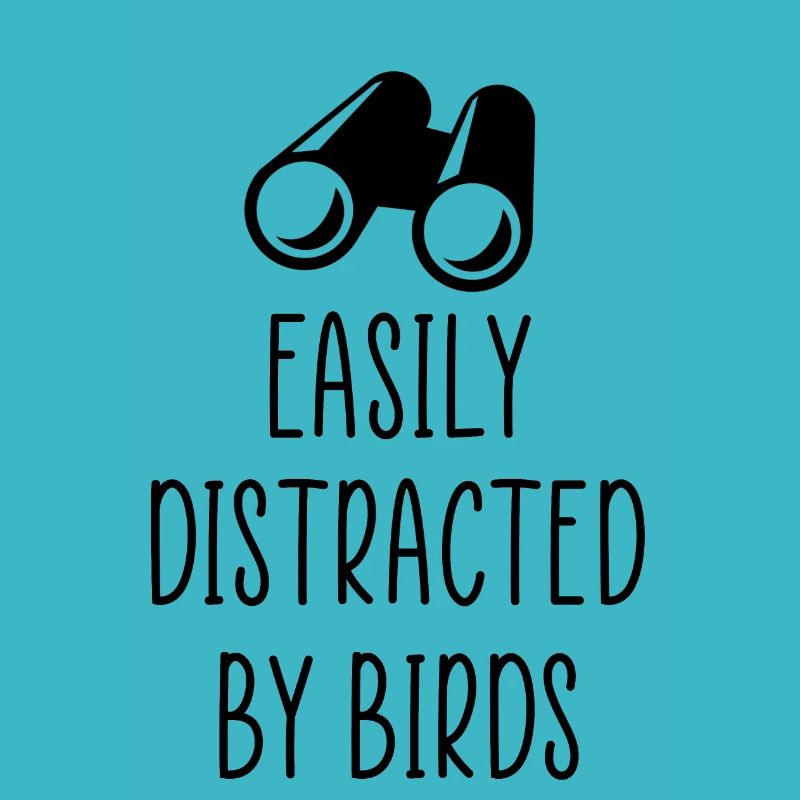 observation des oiseaux