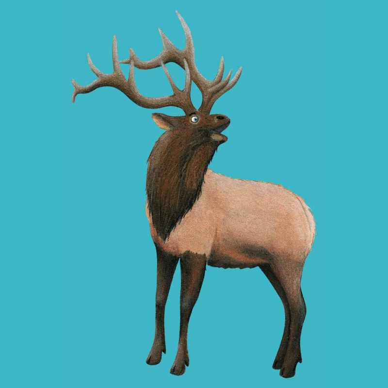Cerfs wapitis