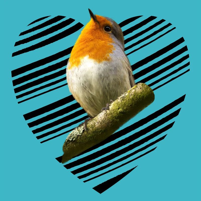 Rouge-gorge Erithacus rubecula