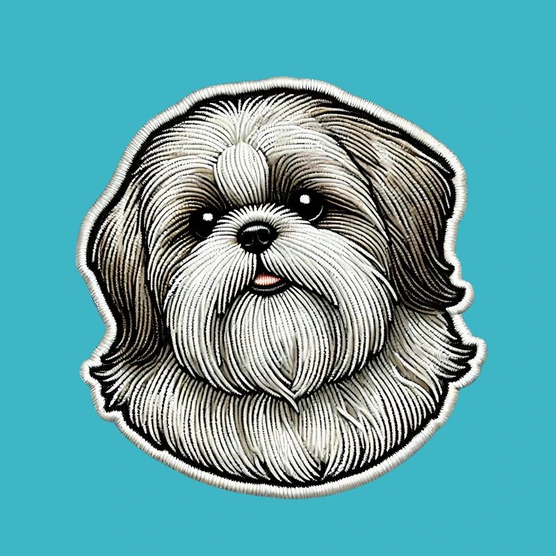 Niedlicher Shih Tzu