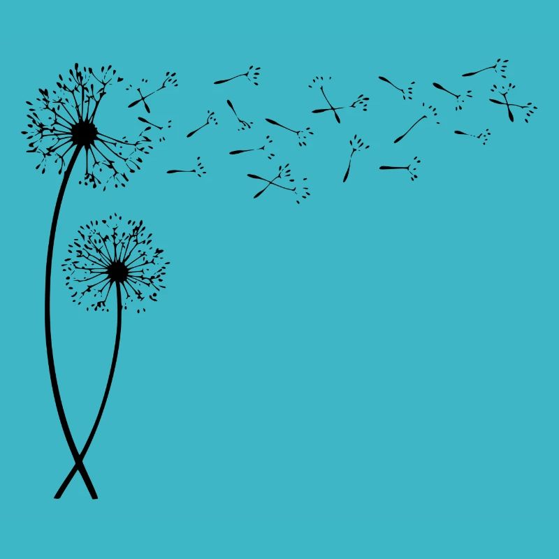 Dandelion with flying seeds. gift