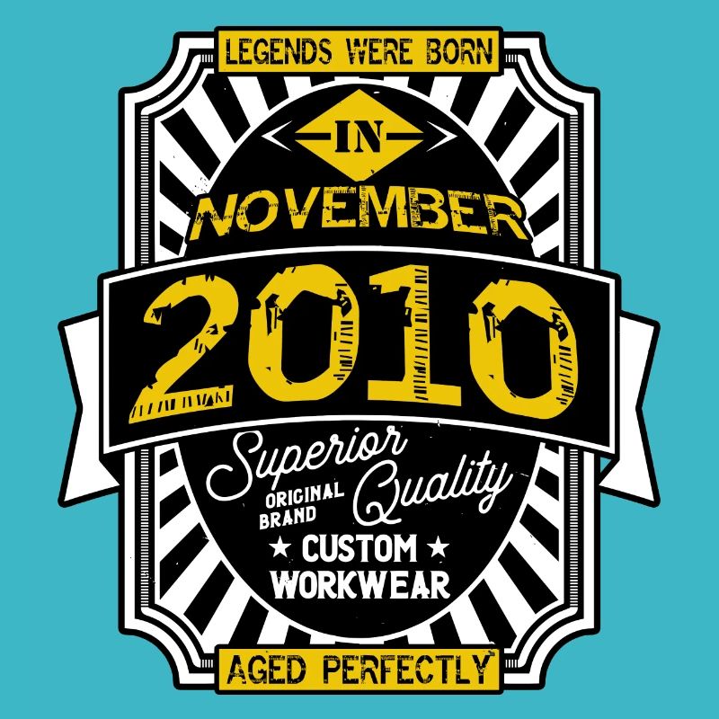 2010 NOVEMBER