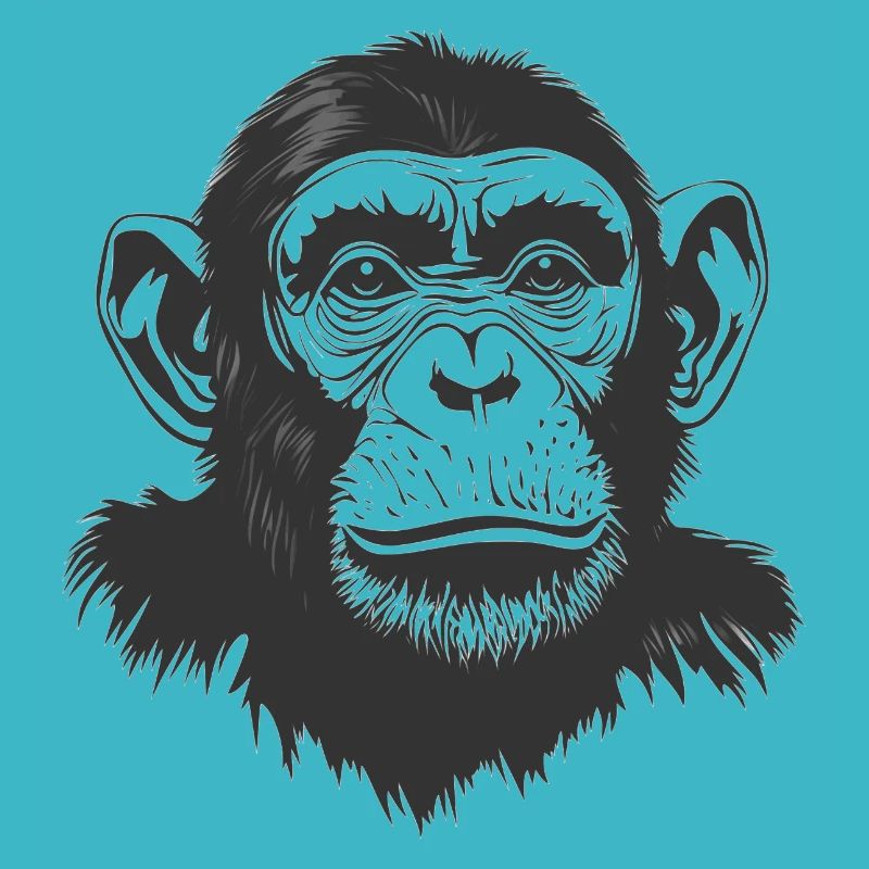 Monkey - Chimpanzee