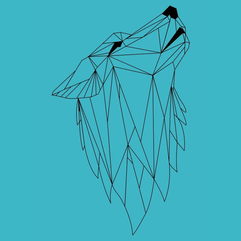 Geometrie Wolf