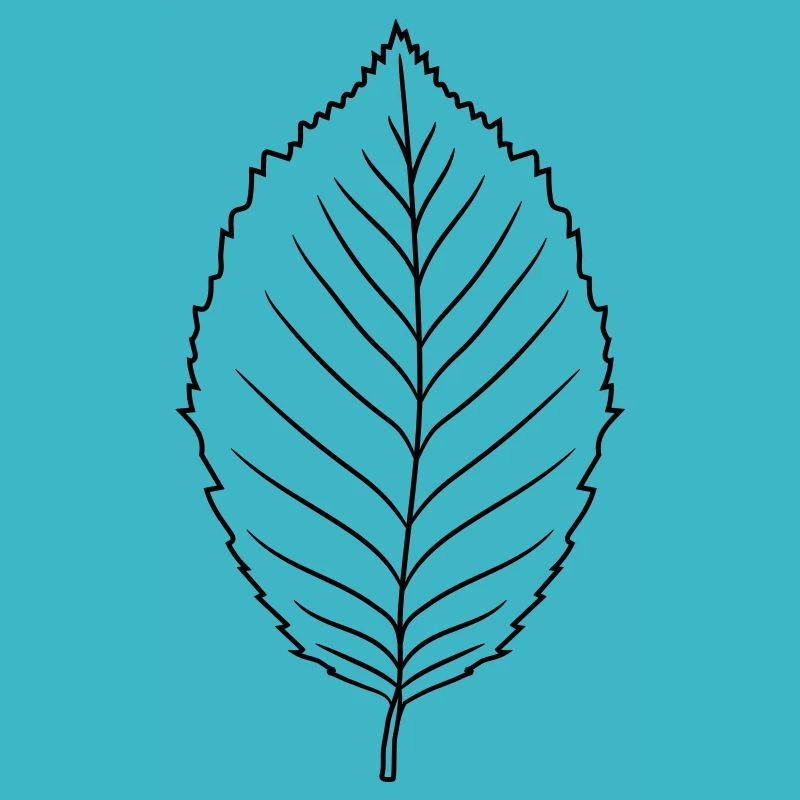 silhouette hêtre feuille arbre plante forme clipart desig