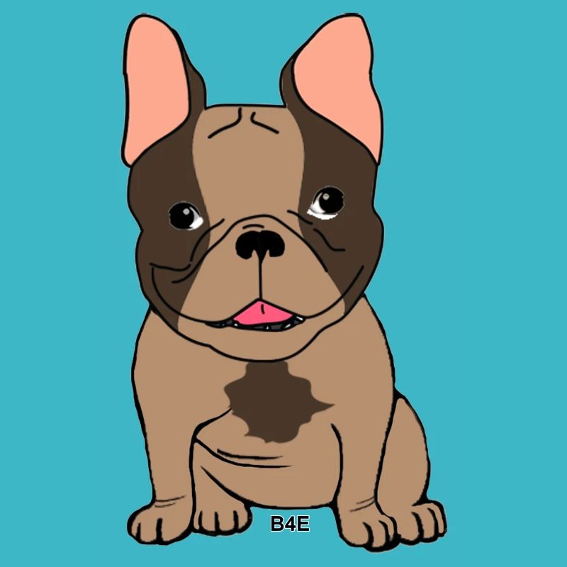 B4E - Boubou