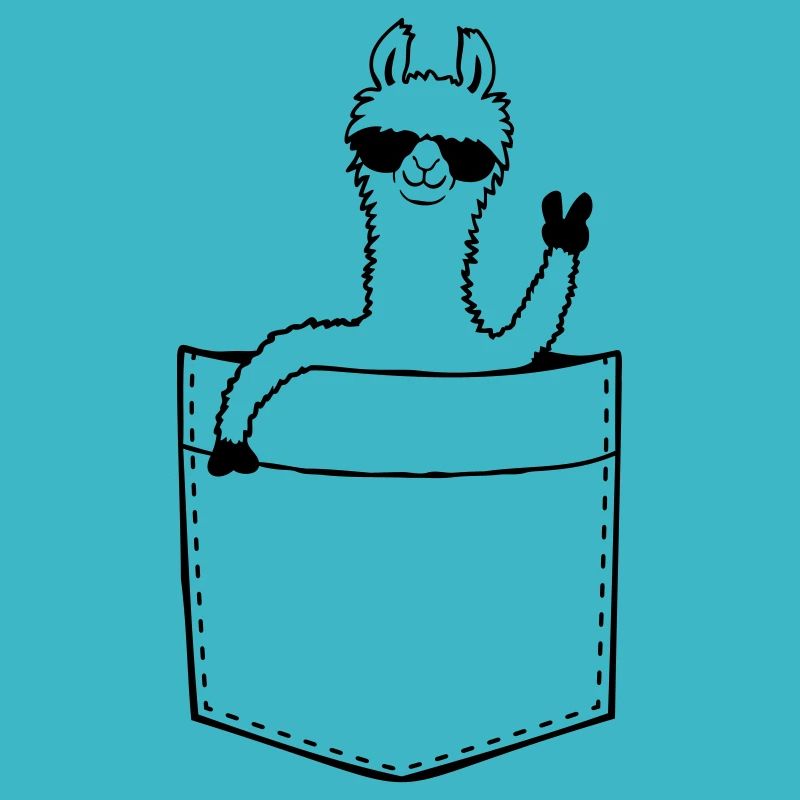 Sac chemise Comic Lama