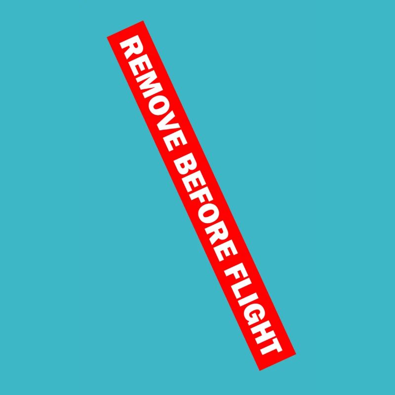 REMOVE BEFORE FLIGHT 02