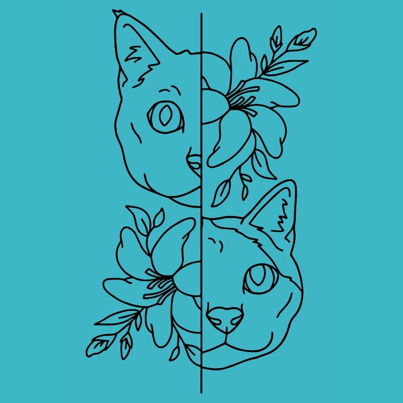 zwei Katzen