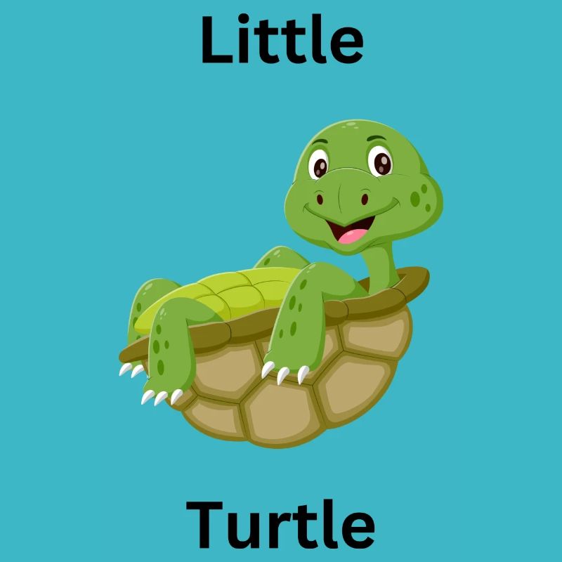 Little turtle