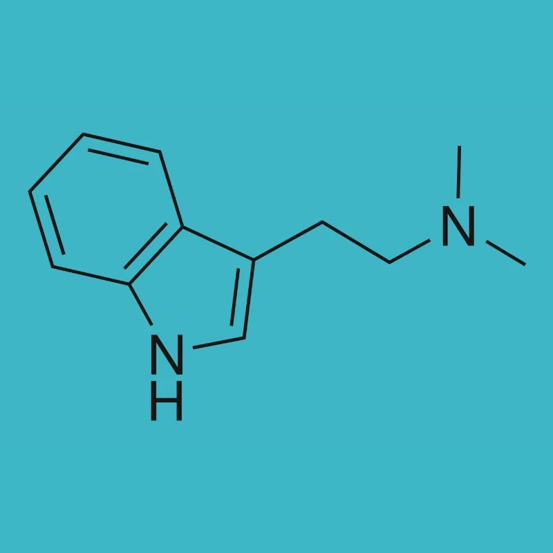 DMT molecule - black