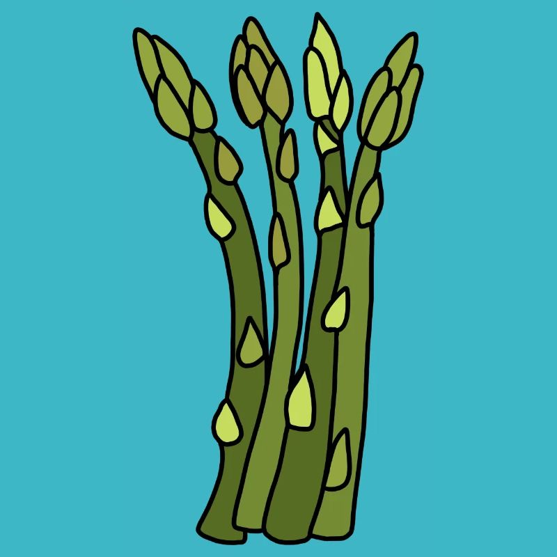 Spargel Zeit