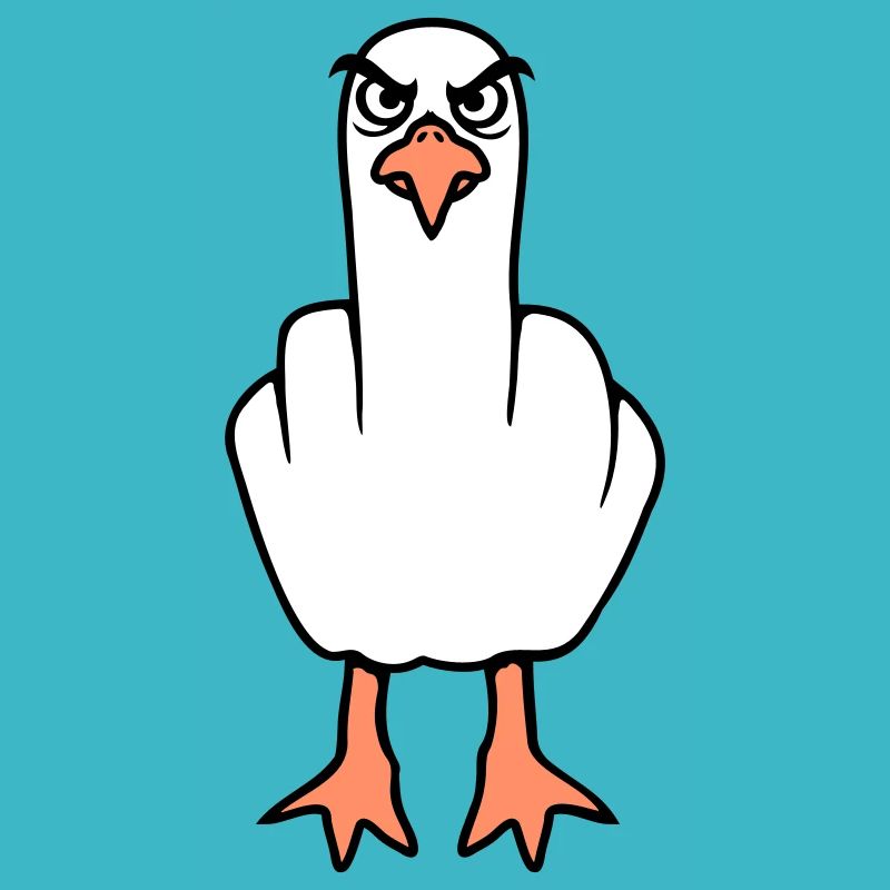 Möwe Mittelfinger Beleidigung Stinkefinger frech