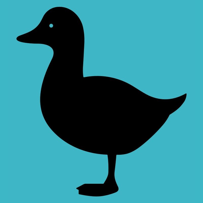 Canard
