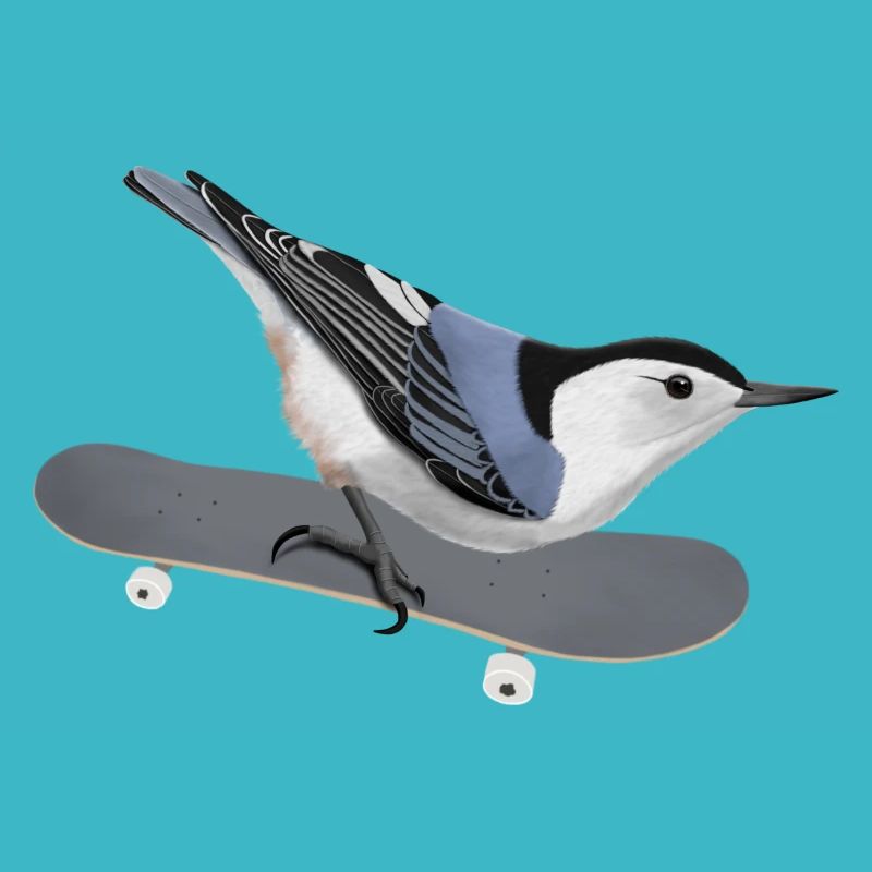 Carolina Nuthatch Skateboard Bird Biologist