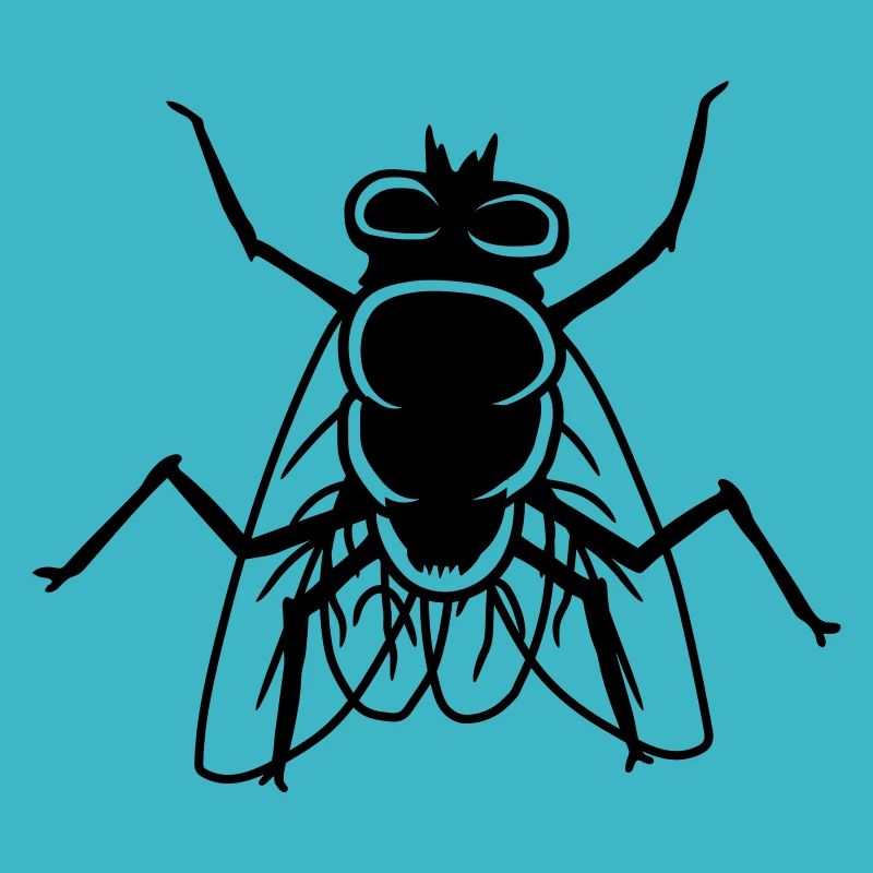 Housefly small house fly insect