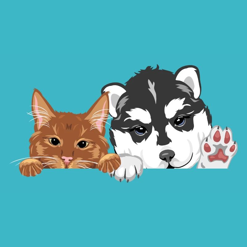 Coup d’œil drôle de chat roux et chien husky