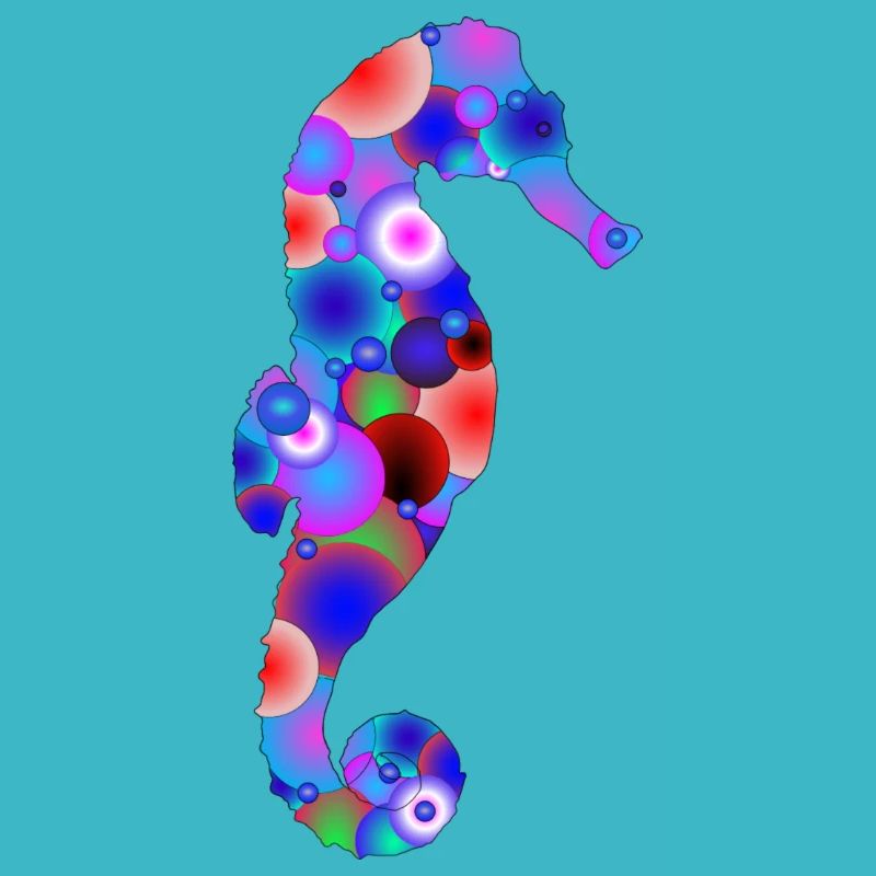 Hippocampe Multicolor