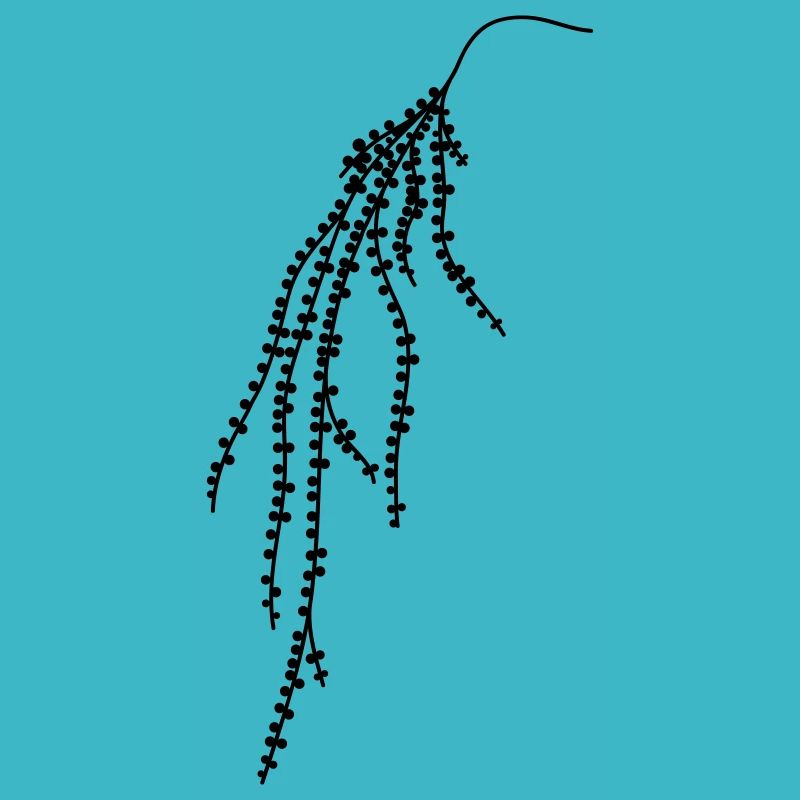 Hanging plant 2