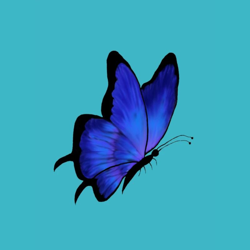 Papillon bleu