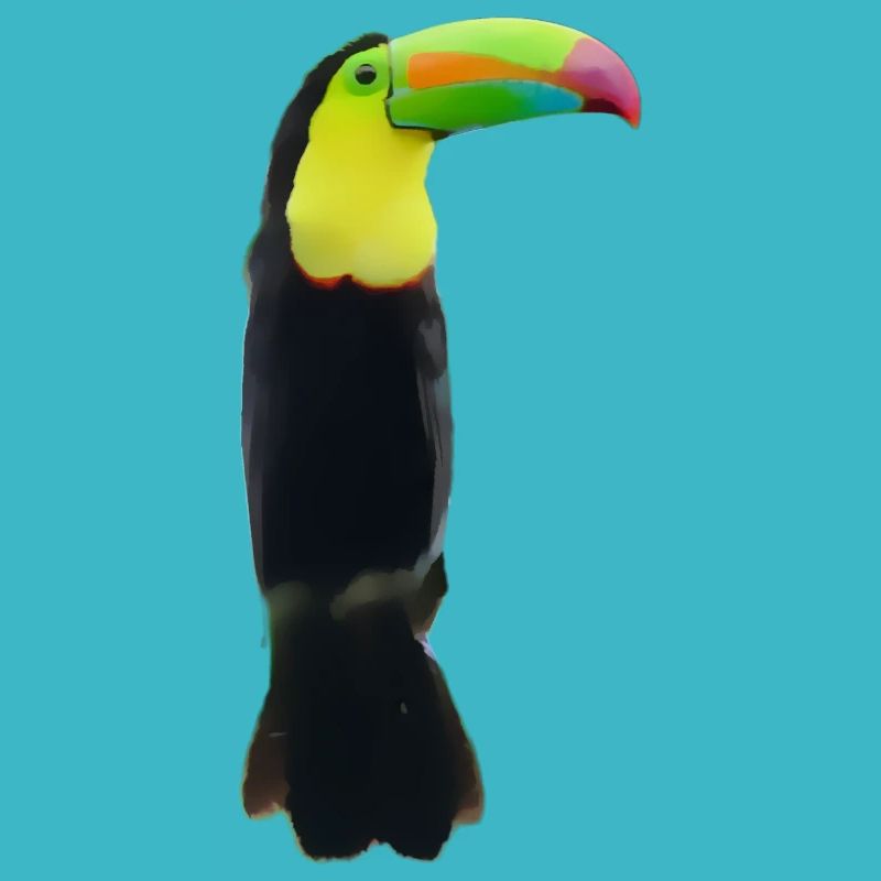 The masterful Tocan