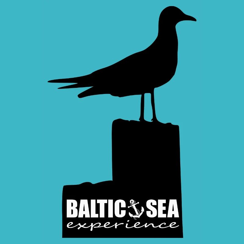 Seagull on stake / BALTIC SEA EXPERIENCE / Baltic Sea