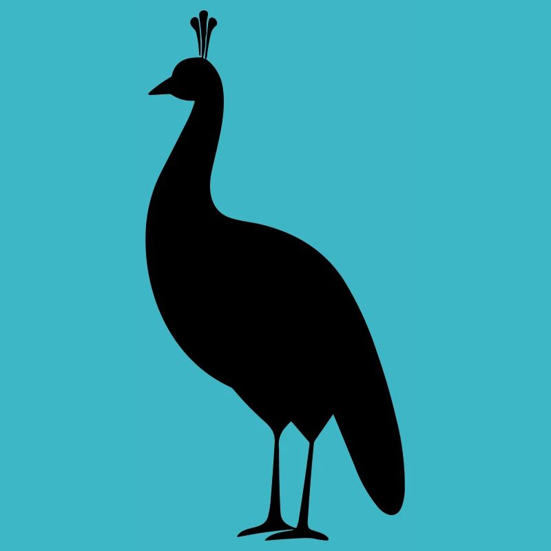 Little Peacock