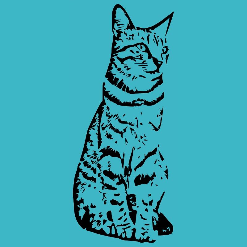 Katze schwarz