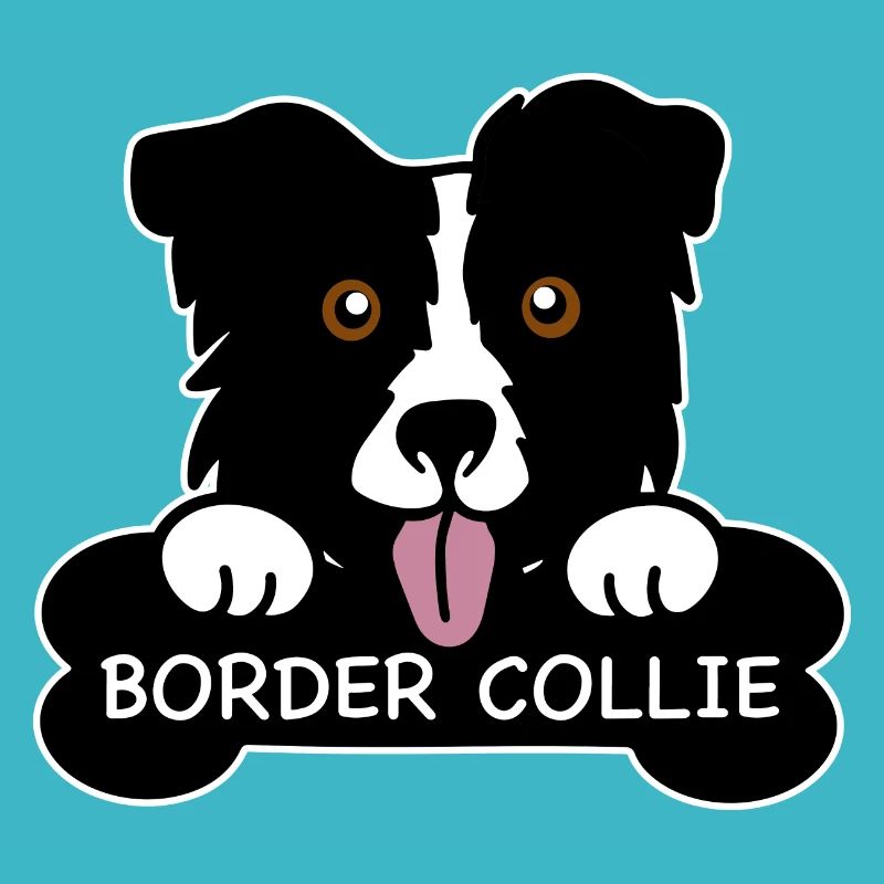Border collie et os