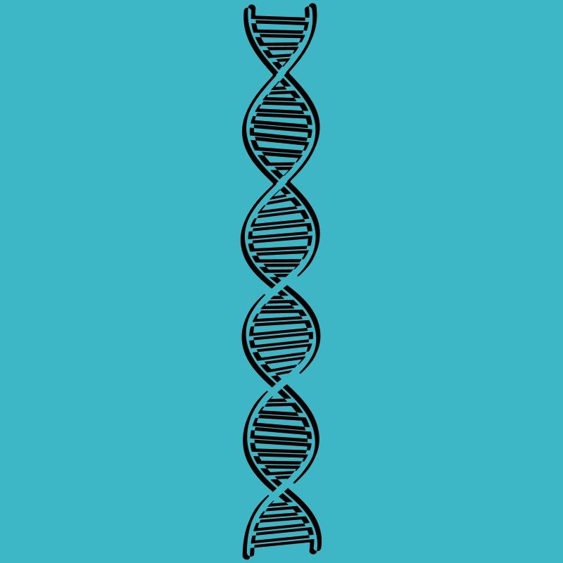 research dna dns genome gene science knowledge c