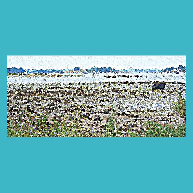 Low tide in Brittany