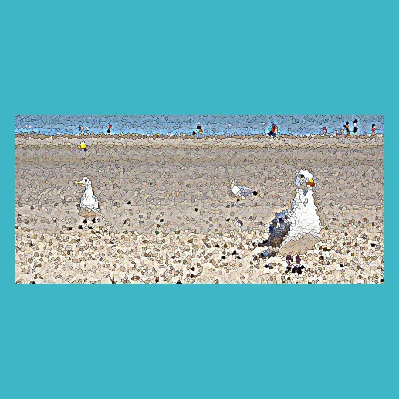 Möwen am Strand