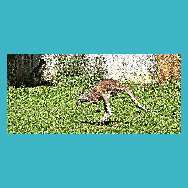 Der große Känguru-Sprung