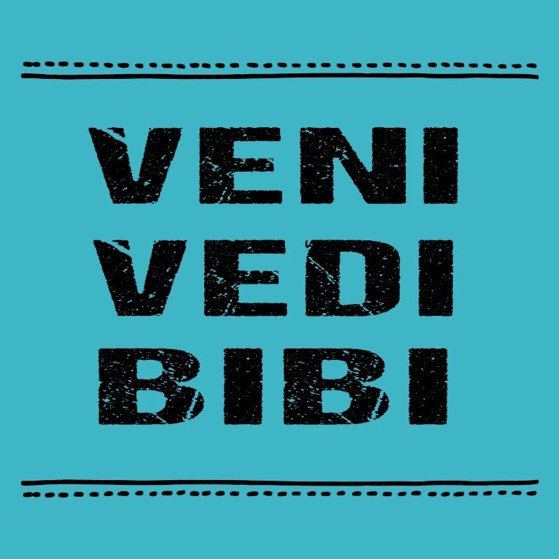 Veni Vedi Bibi