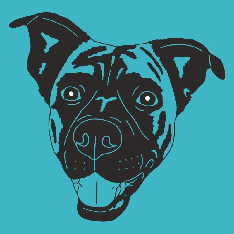 Boxer Schäferhund Mix